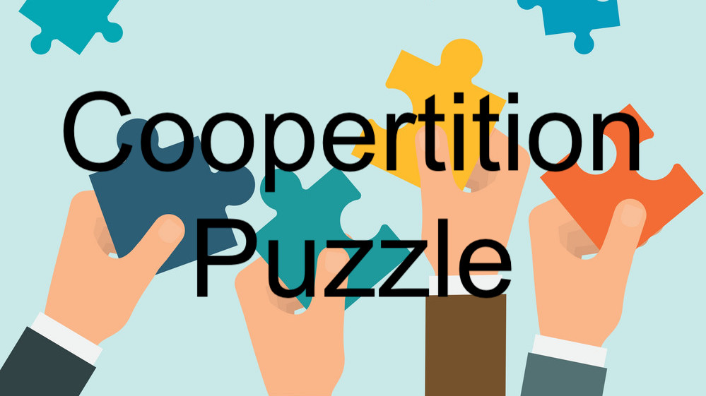 Coopertition Puzzle